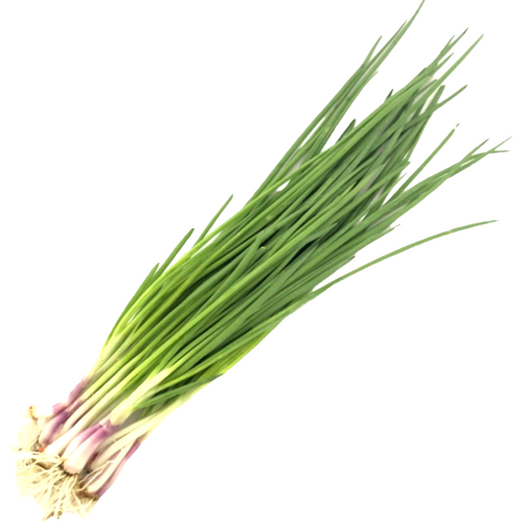 Spring Onion Cameron 100g
