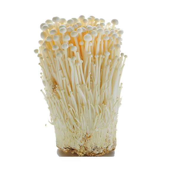 Golden Mushroom 100g
