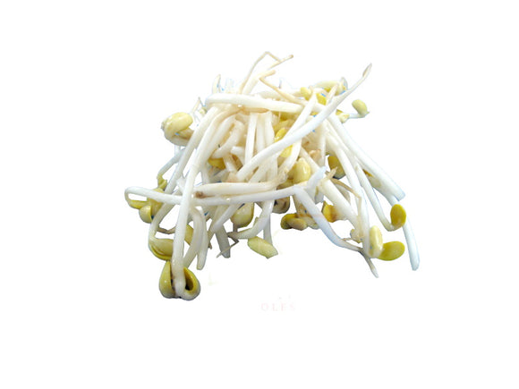 Bean Sprout 200g+/-