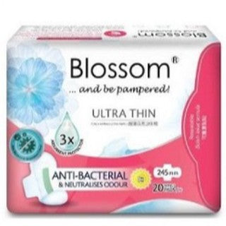 Blossom Day Use Ultra Thin Wing 24.5cm x 20pads