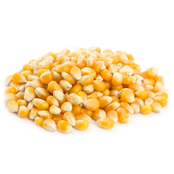 Popcorn Kernels 10g